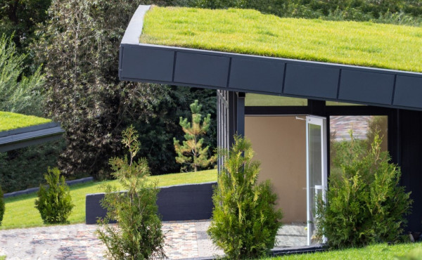 Zelená střecha na váš rodinný dům